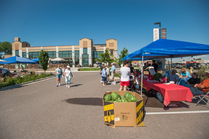 Brighton Market Day JPEGs Web-57